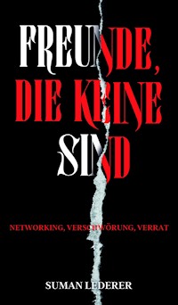 FREUNDE, DIE KEINE SIND - Suman Lederer - E-Book