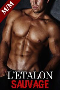 L'Etalon Vol. 3 - dominique adam - E-Book