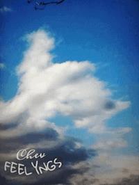 SENKRECHTLÄUFER=auf_mein_KOMMANDO ! - Chev FEELYNGS - E-Book