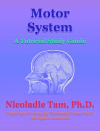 Motor System: A Tutorial Study Guide - Nicoladie Tam - E-Book
