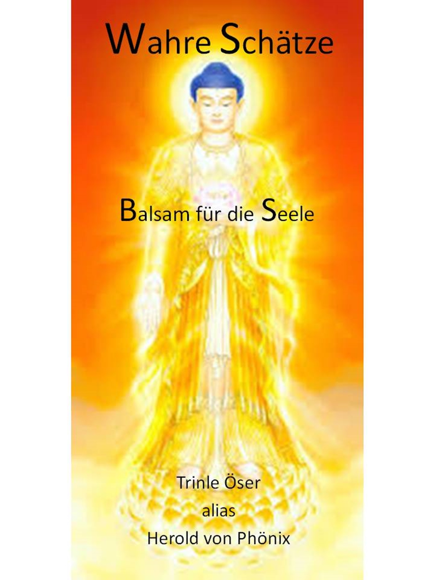 Wahre Schätze - Peter Schmidt - E-Book