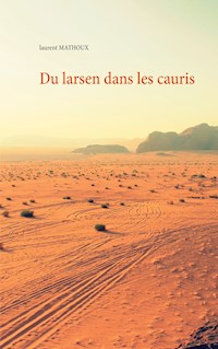 Du larsen dans les cauris - Laurent Mathoux - E-Book