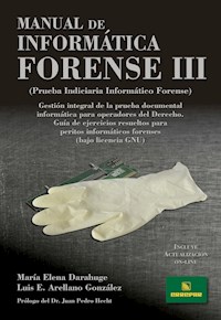 Manual de informática forense III - Luis Enrique Arellano González - E-Book