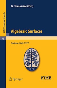 Algebraic Surfaces -  - E-Book