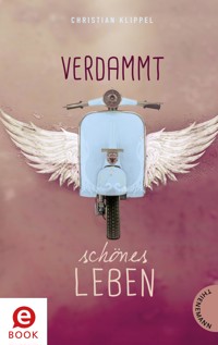 Verdammt schönes Leben - Christian Klippel - E-Book