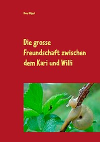 Die große Freundschaft zwischen dem Kari und Willi - Hans Hüppi - E-Book