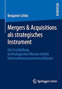 Mergers & Acquisitions als strategisches Instrument - Benjamin Schön - E-Book