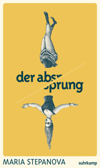 Der Absprung - Maria Stepanova - E-Book