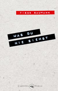 Was du nie siehst - Tibor Baumann - E-Book
