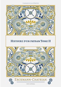 Histoire d'un paysan - Erckmann-chatrian - E-Book