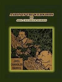 Aaron in the Wildwoods - Joel Chandler Harris - E-Book