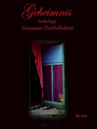 Literaturpreis Grassauer Deichelbohrer - Geheimnis - Angeline Bauer - E-Book