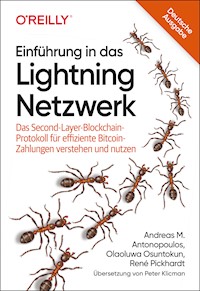 Einführung in das Lightning Netzwerk - Andreas M. Antonopoulos - E-Book