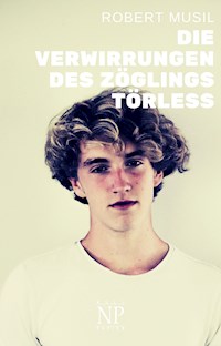 Die Verwirrungen des Zöglings Törless - Robert Musil - E-Book + Hörbuch