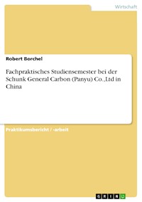 Fachpraktisches Studiensemester bei der Schunk General Carbon (Panyu) Co.,Ltd in China - Robert Borchel - E-Book