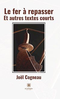 Le fer à repasser - Joël Cogneau - E-Book