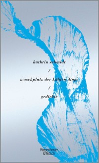 waschplatz der kühlen dinge - Kathrin Schmidt - E-Book