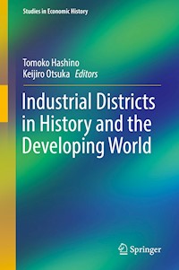 Industrial Districts in History and the Developing World - - E-Book