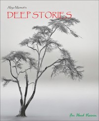 Deep Stories 3 - aliyo Momot - E-Book
