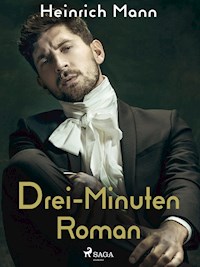 Drei-Minuten-Roman - Heinrich Mann - E-Book