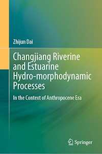 Changjiang Riverine and Estuarine Hydro-morphodynamic Processes - Zhijun Dai - E-Book