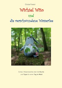 Wichtel Wito und die verschwundene Wasserfee - Cinzia Faraci - E-Book