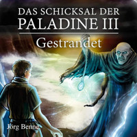 Gestrandet - Das Schicksal der Paladine, Band 3 (ungekürzt) - Jörg Benne - Hörbuch