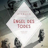 Engel des Todes (Paul Stainer 3) - Thomas Ziebula - Hörbuch