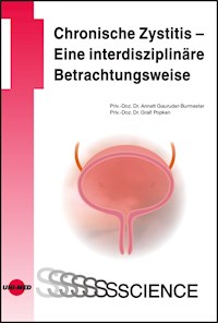 Chronische Zystitis - Eine interdisziplinäre Betrachtungsweise - Annett Gauruder-Burmester - E-Book