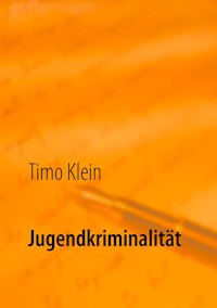 Jugendkriminalität - Timo Klein - E-Book