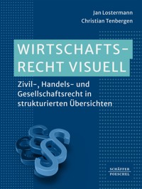 Wirtschaftsrecht visuell - Jan Lostermann - E-Book