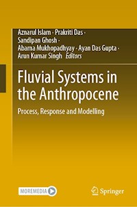 Fluvial Systems in the Anthropocene - - E-Book