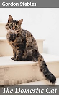 The Domestic Cat - Gordon Stables - E-Book