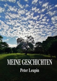 Meine Geschichten - Peter Leupin - E-Book