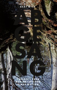 Abgesang - Beat Wild - E-Book