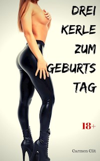 Drei Kerle zum Geburtstag - Carmen Clit - E-Book