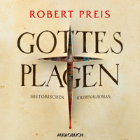 Gottes Plagen - Robert Preis - Hörbuch