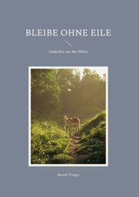 Bleibe ohne Eile - Bernd Finger - E-Book