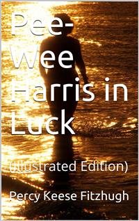 Pee-Wee Harris in Luck - Percy Keese Fitzhugh - E-Book