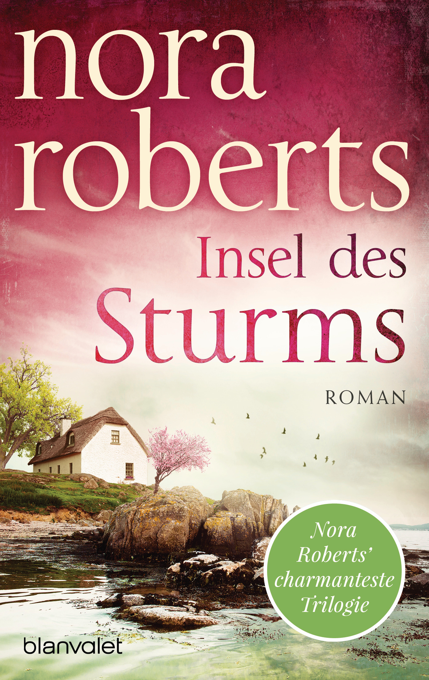 Insel des Sturms - Nora Roberts - E-Book