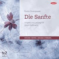 Die Sanfte - Fjodor M. Dostojewski - Hörbuch