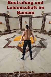 Bestrafung und Leidenschaft im Hamam - Andrea G. - E-Book