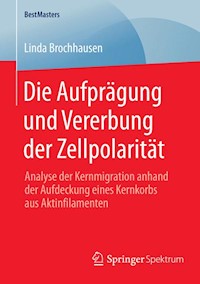 Die Aufprägung und Vererbung der Zellpolarität - Linda Brochhausen - E-Book