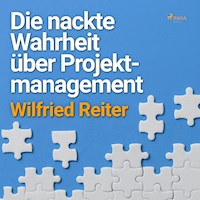 Die nackte Wahrheit über Projektmanagement (Ungekürzt) - Wilfried Reiter - Hörbuch