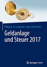 Geldanlage und Steuer 2017 - Philipp Karl Maximilian Lindmayer - E-Book
