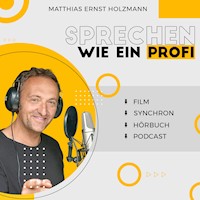 Sprechen wie ein Profi - Matthias Ernst Holzmann - Hörbuch