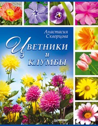 Цветники и клумбы - А. Скворцова - E-Book