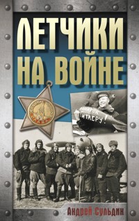 Летчики на войне - Сульдин Андрей - E-Book