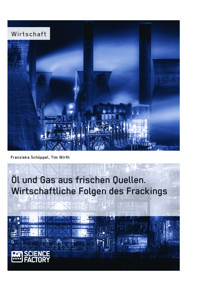 Öl und Gas aus frischen Quellen. Wirtschaftliche Folgen des Frackings - Tim Wirth - E-Book