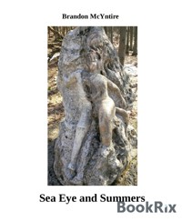 Sea Eye and Summers - Brandon McYntire - E-Book